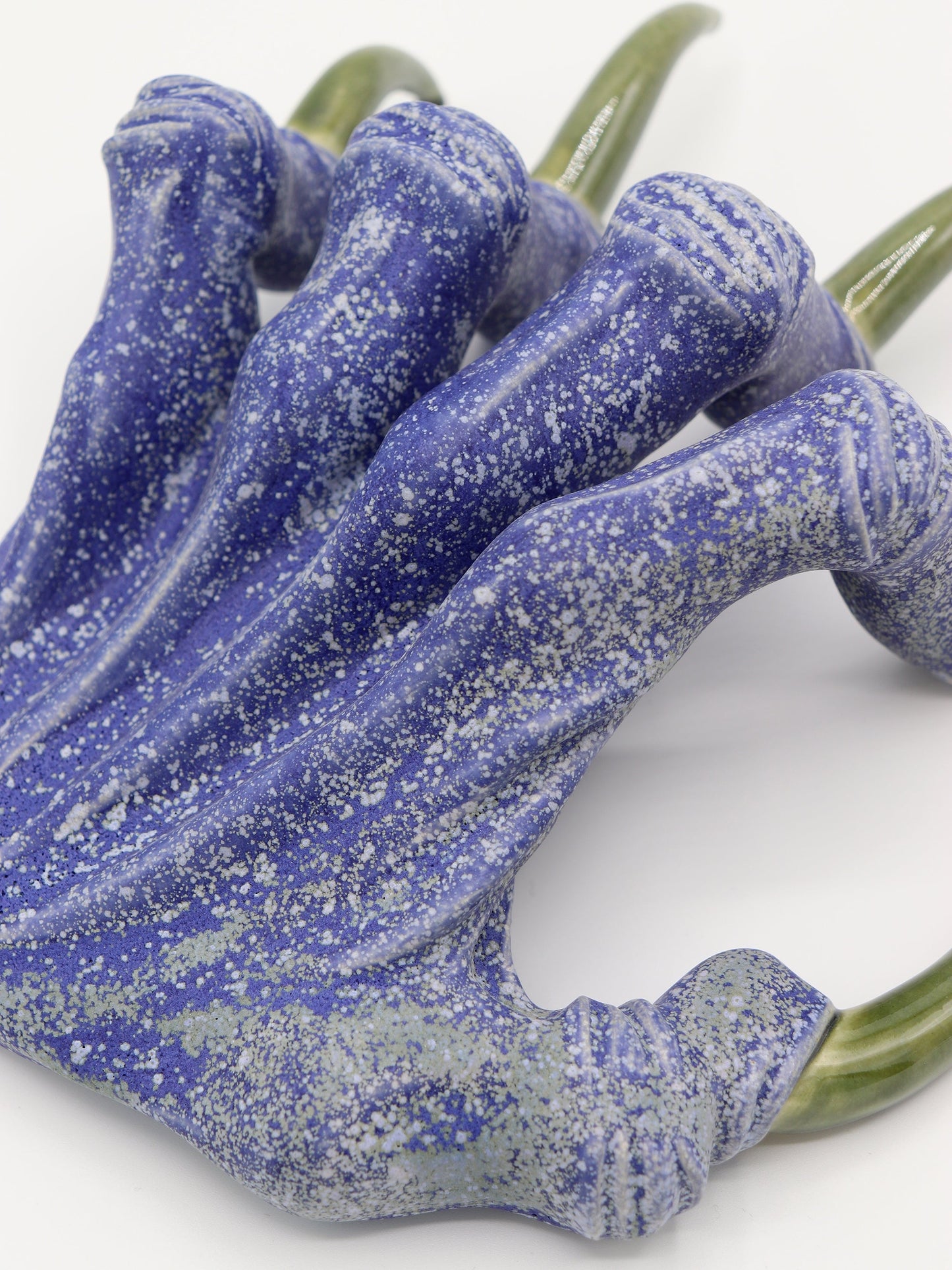 Blue Paw Display-Naomi Gilon-APOC STORE