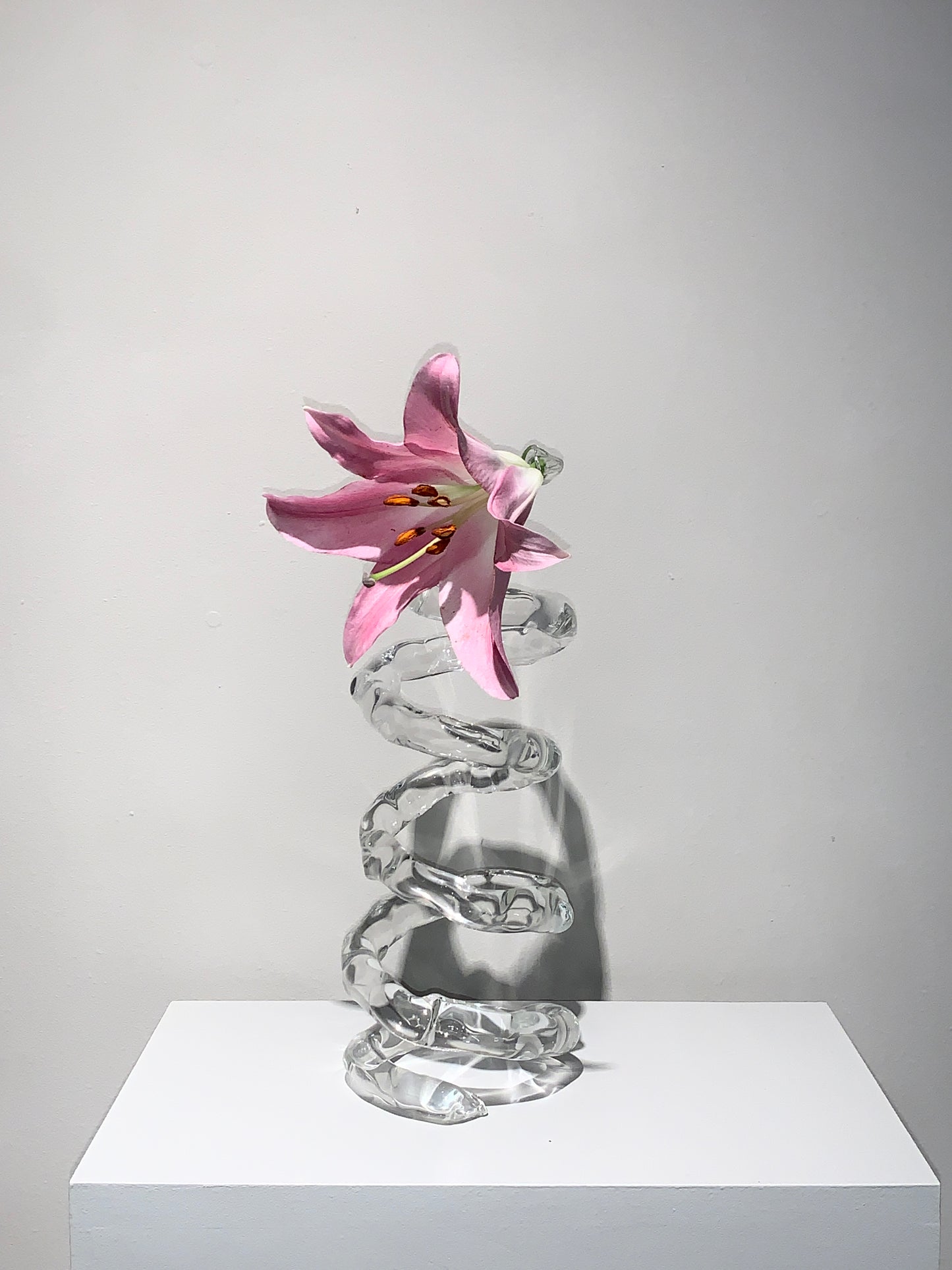 Espiral-Rain and Rivers-APOC STORE