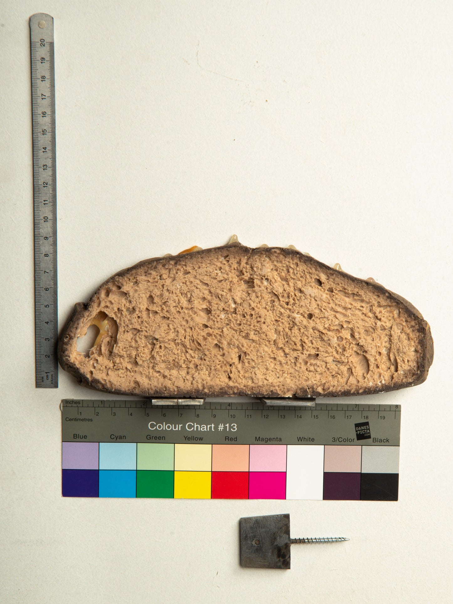 Commensalisme Bread Shelf - Monaco 4 Août-Vincent Olinet-APOC STORE