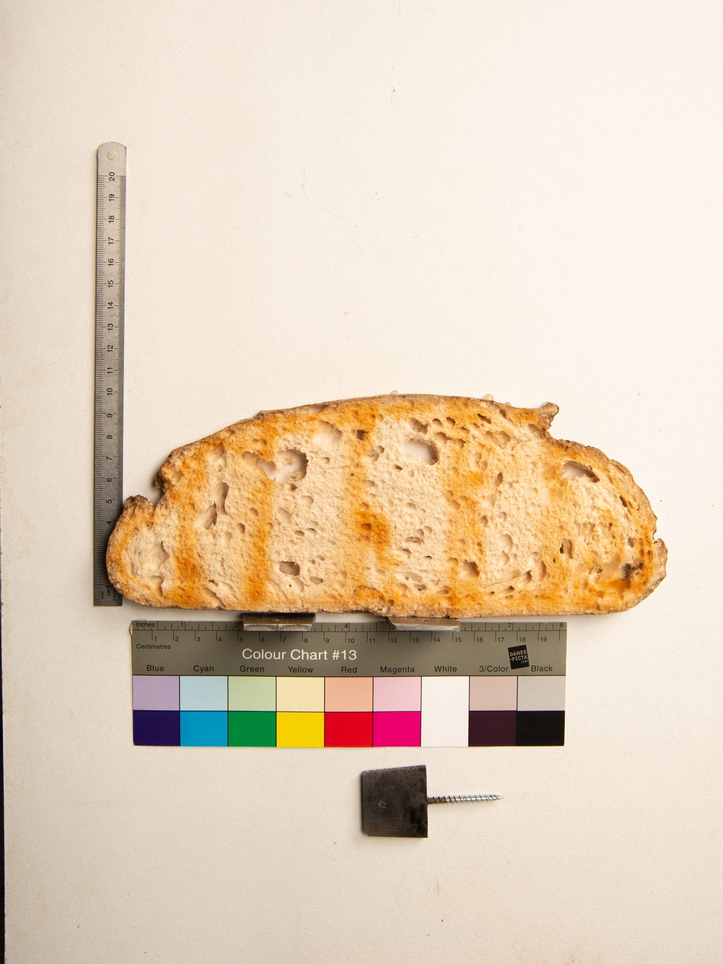 Commensalisme Bread Shelf - 10h24-Vincent Olinet-APOC STORE