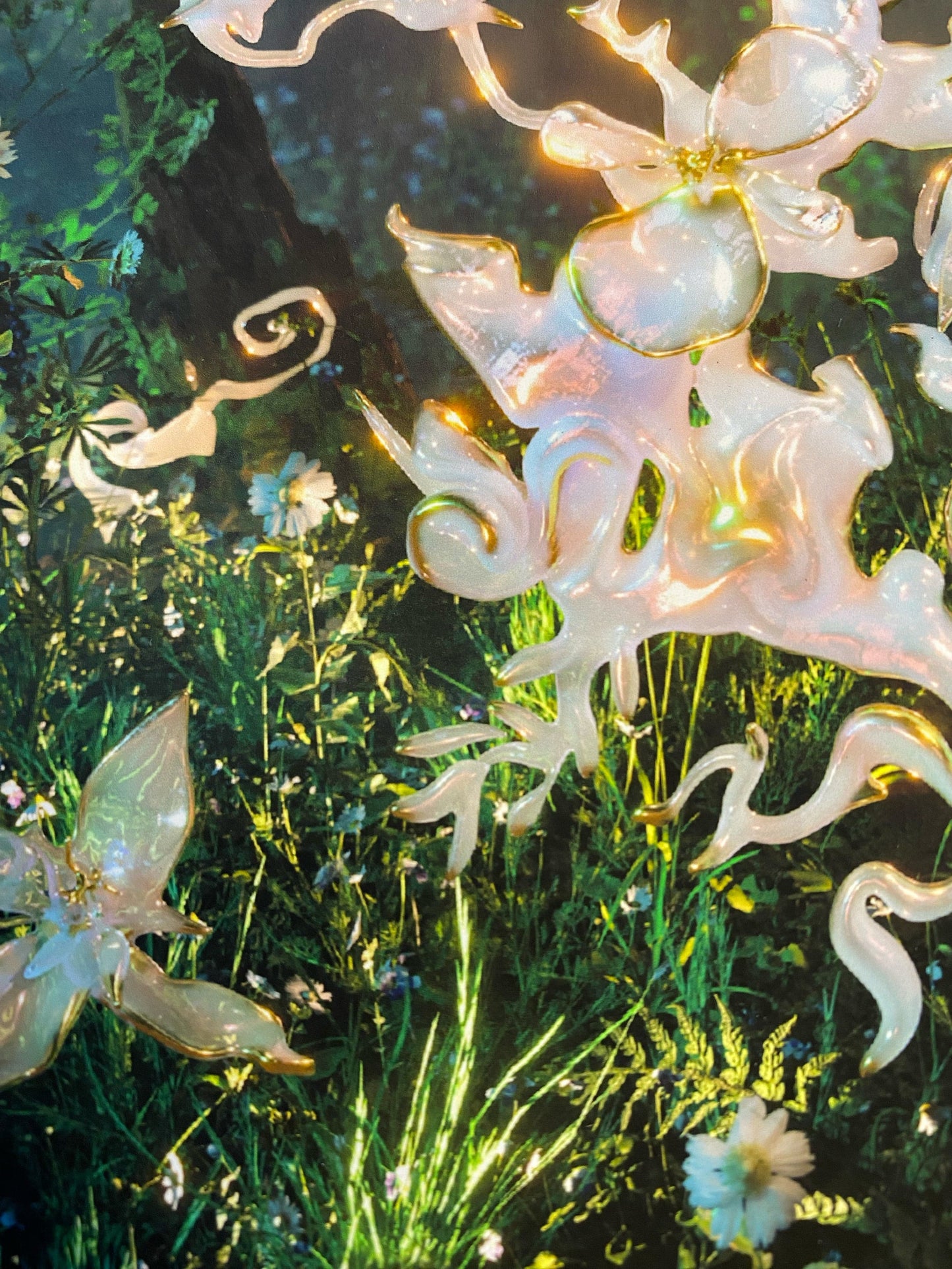 guardian-Ida Lissner-APOC STORE