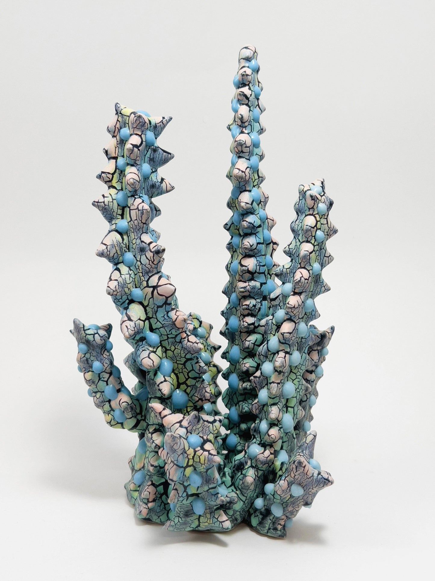 Euphorbia-Kaley Flowers-APOC STORE