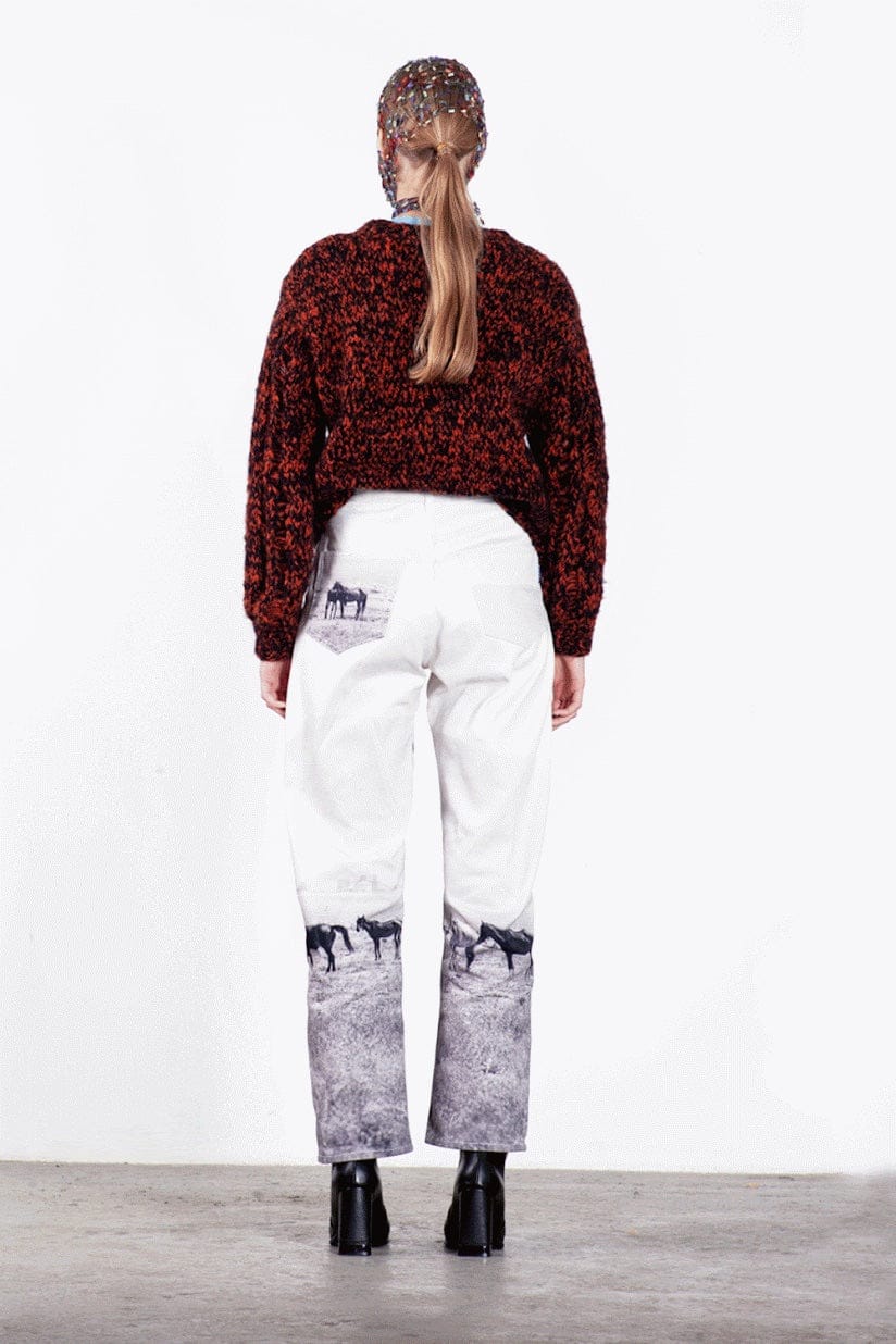 Printed Horse Jeans-Anton Belinskiy-APOC STORE