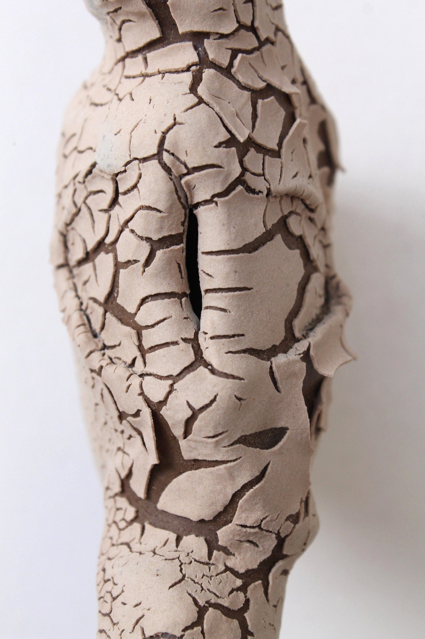 Creature 6-Thea Djurhuus-APOC STORE