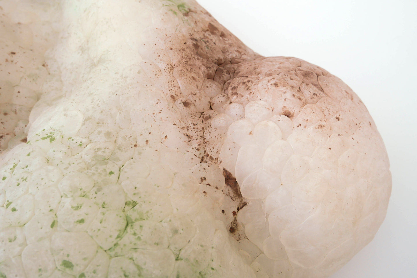 Green Freckles Mammatus Wall Sculpture-Elissa Lacoste-APOC STORE