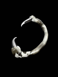 White cuff with spikes-CASPER DIY-APOC STORE