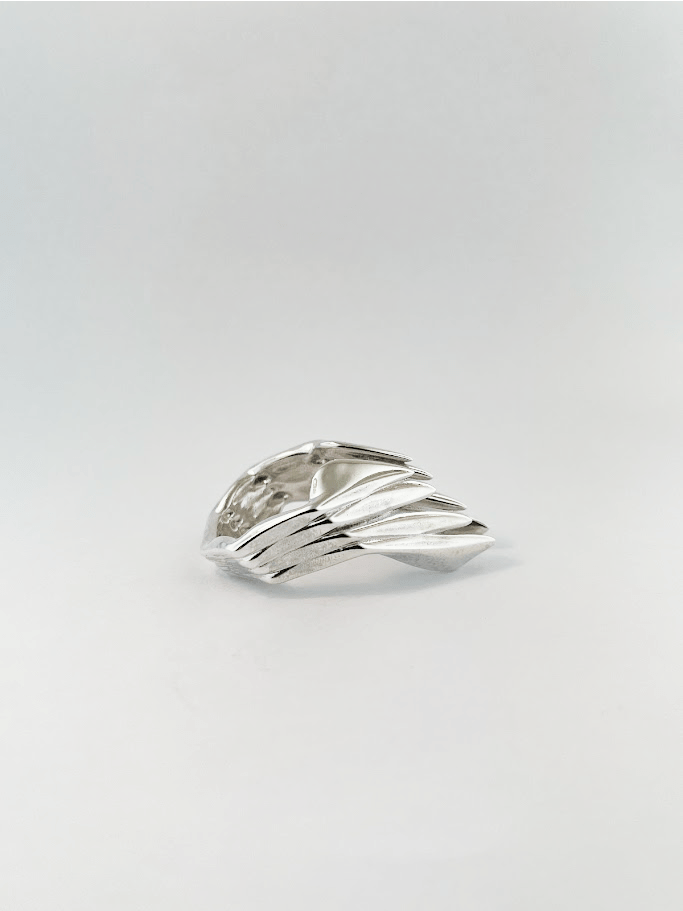 Area ring no.2-Agoston Balazs-APOC STORE