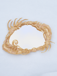 Specular alembic (plasma) mirror-Ida Lissner-APOC STORE