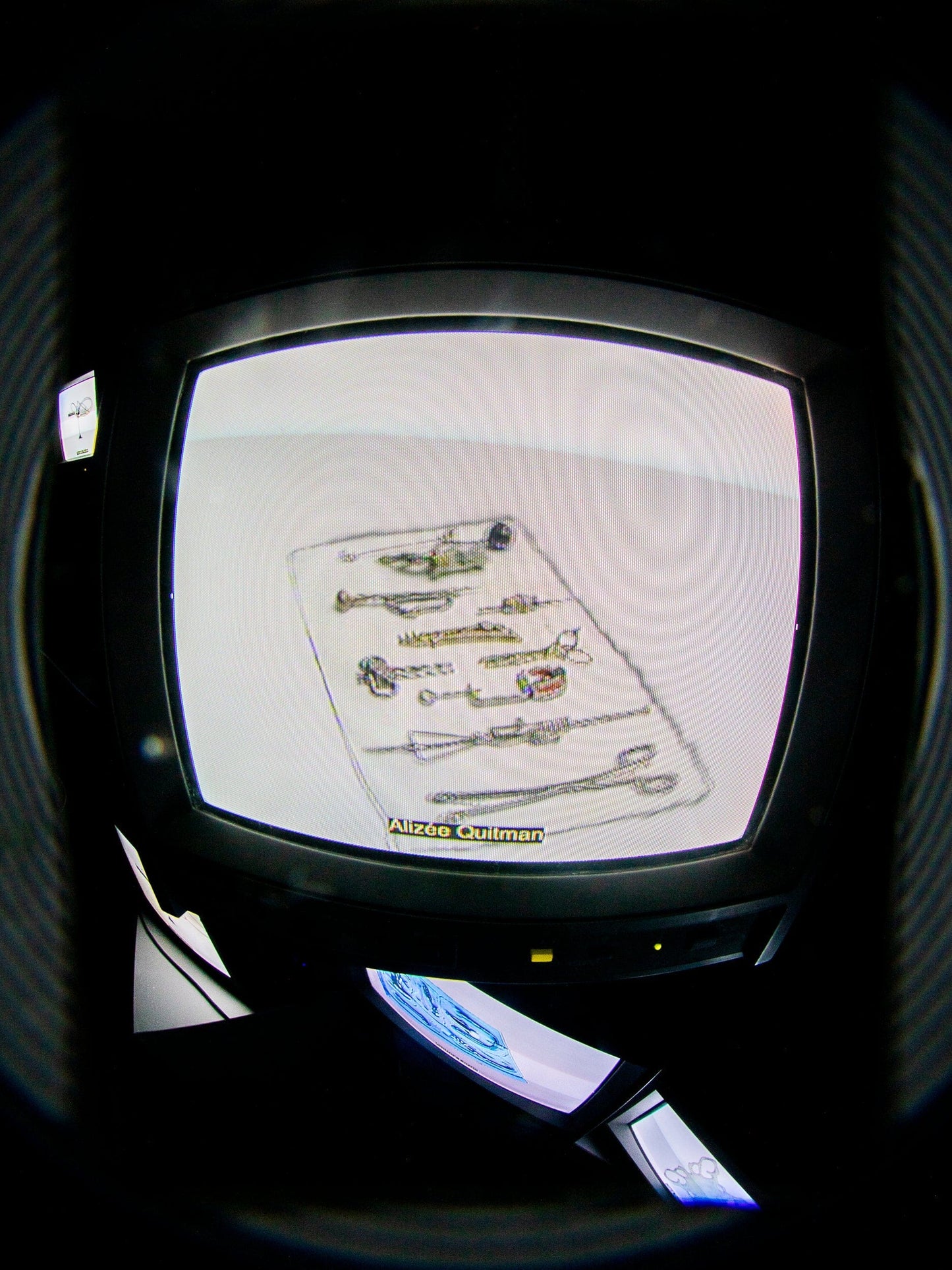 The Memory Extractor-Alizee Quitman-APOC STORE