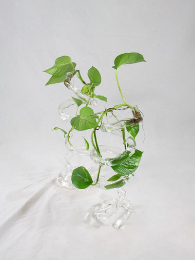 Espiral-Rain and Rivers-APOC STORE