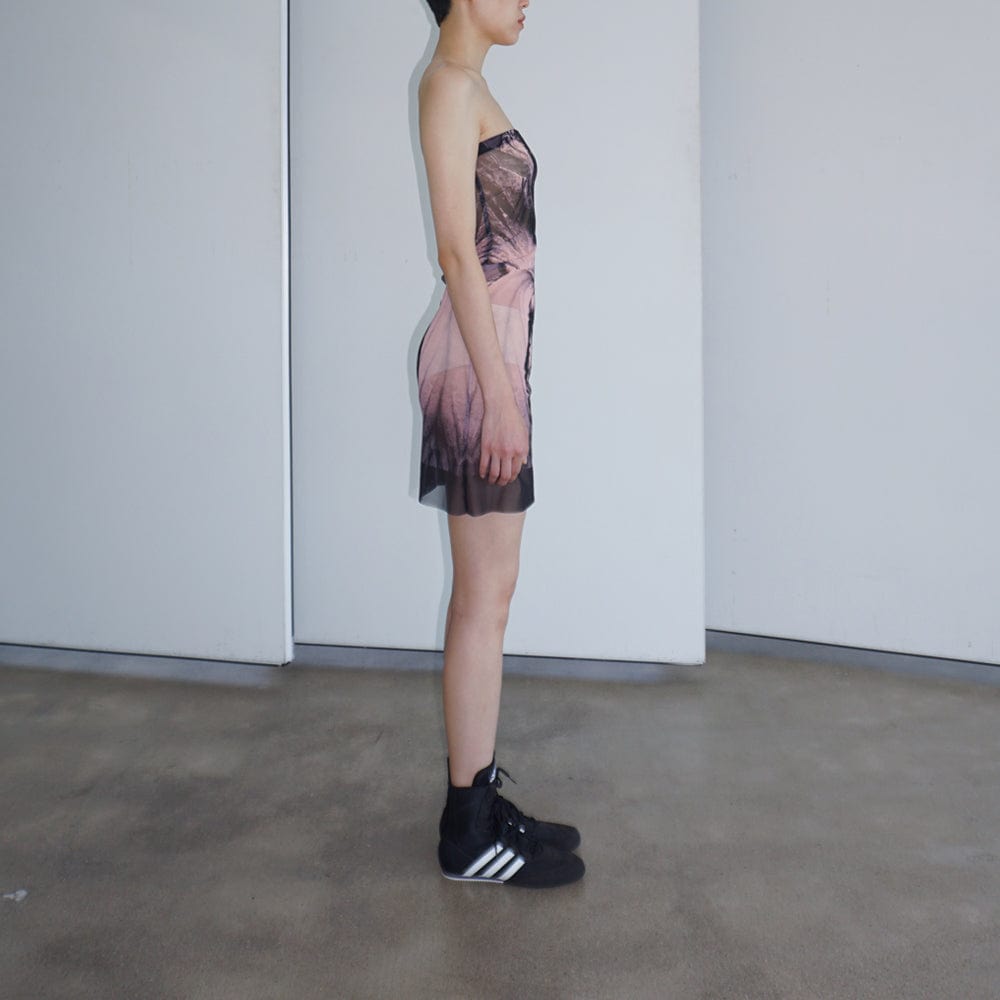 SHEER MESH DRESS-Lalameemee-APOC STORE