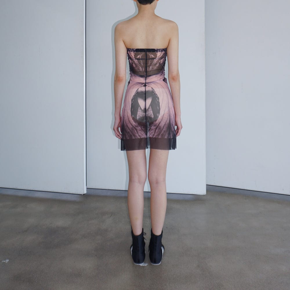 SHEER MESH DRESS-Lalameemee-APOC STORE