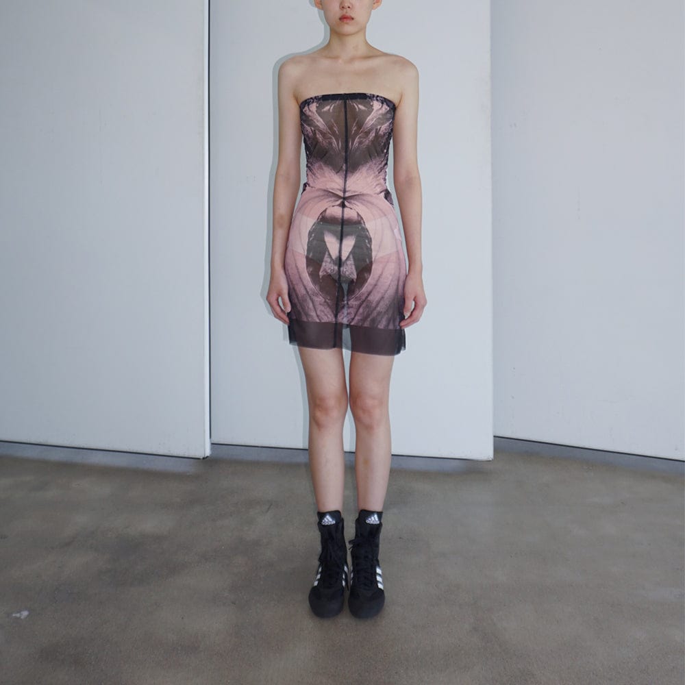 SHEER MESH DRESS-Lalameemee-APOC STORE