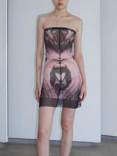 SHEER MESH DRESS-Lalameemee-APOC STORE