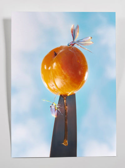 A symbiotic view of life-Alex Valentina-APOC STORE