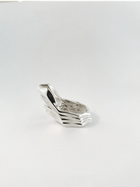 Area ring no.2-Agoston Balazs-APOC STORE