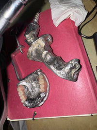 The Teeth Hammer-Alizee Quitman-APOC STORE