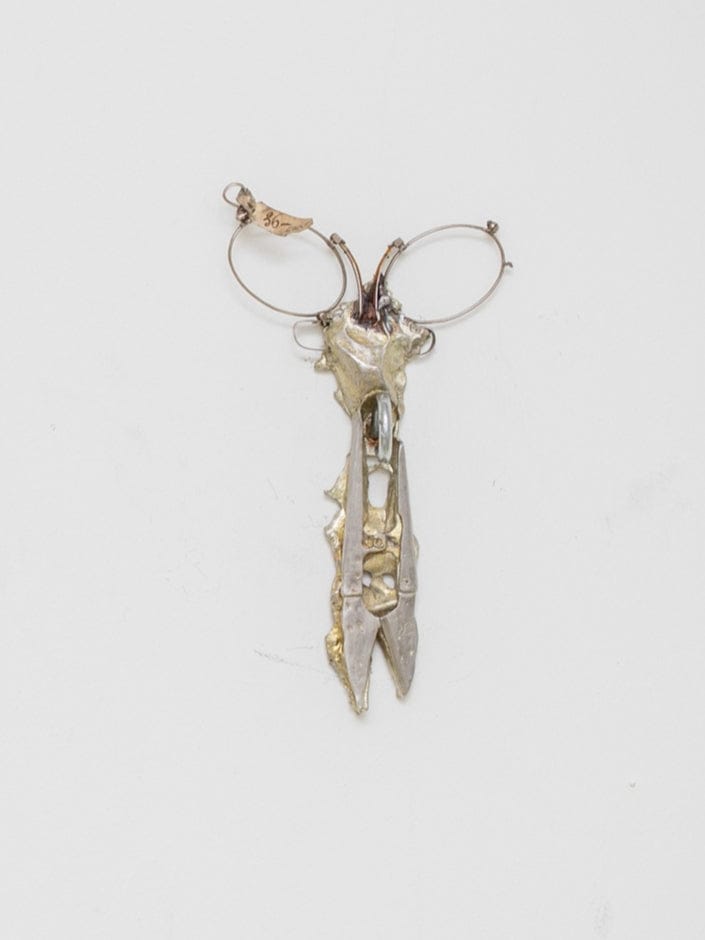Cisocular-Alizee Quitman-APOC STORE