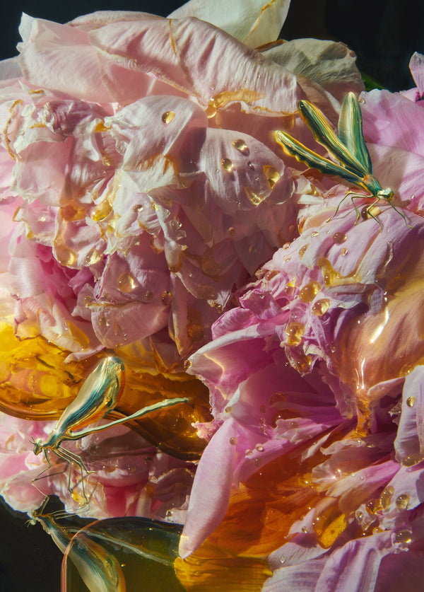 YOU'RE NOT ALONE. THERES BUGS-Alex Valentina-APOC STORE