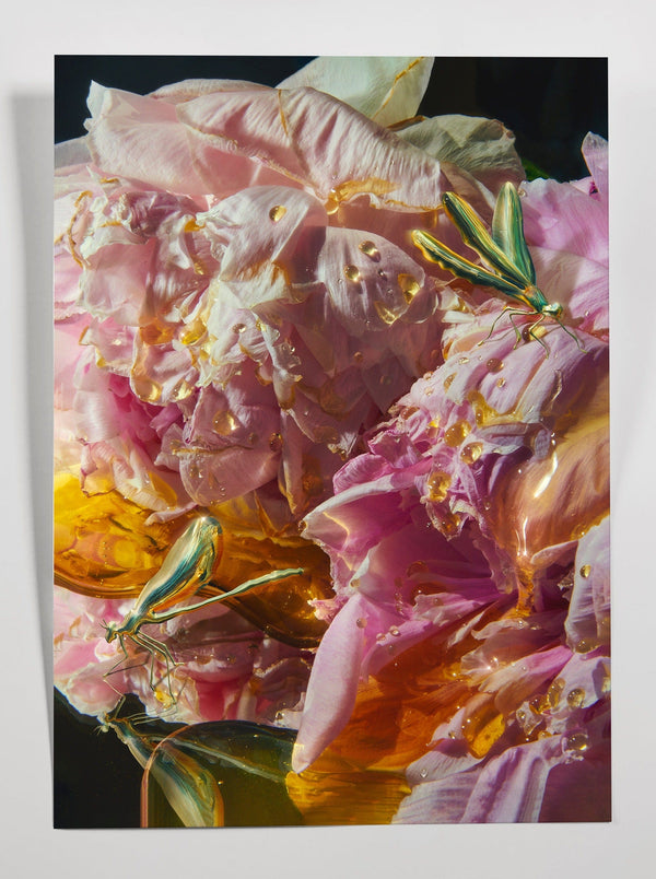 YOU'RE NOT ALONE. THERES BUGS-Alex Valentina-APOC STORE