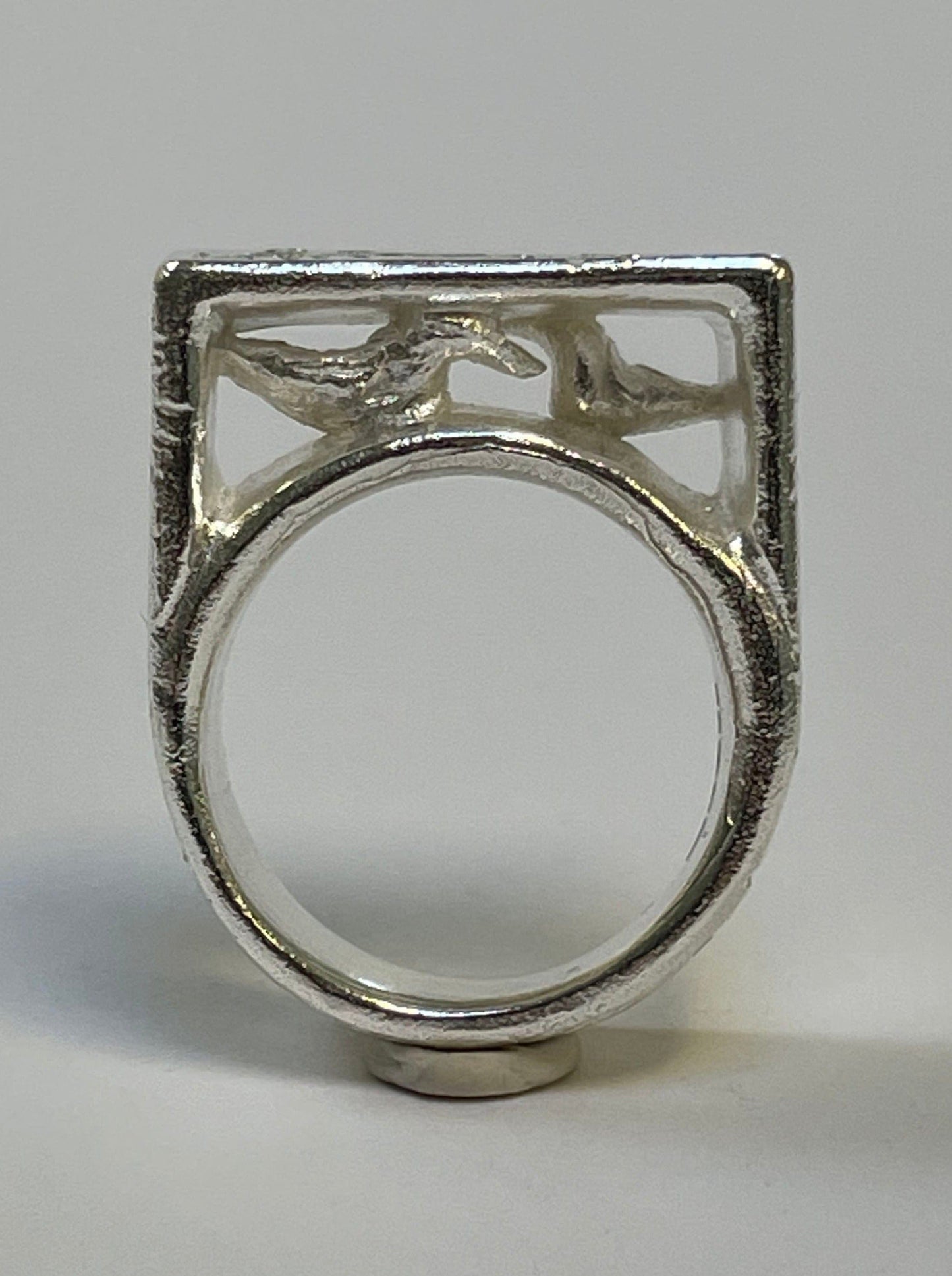 Birds and a comet ring-WILLA / HILFREICH-APOC STORE