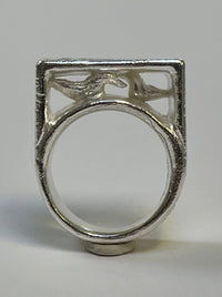 Birds and a comet ring-WILLA / HILFREICH-APOC STORE