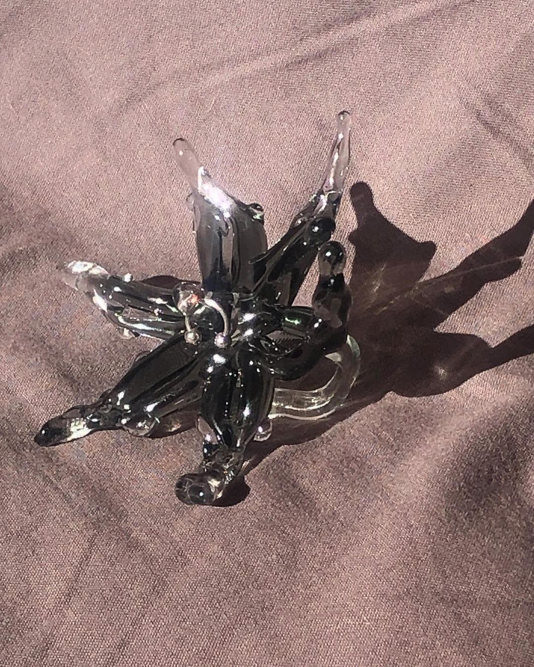 Orchid 00001 Black-Rain and Rivers-APOC STORE