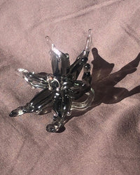Orchid 00001 Black-Rain and Rivers-APOC STORE