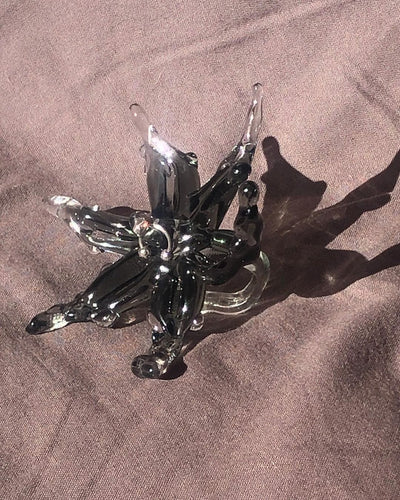 Orchid 00001 Black-Rain and Rivers-APOC STORE