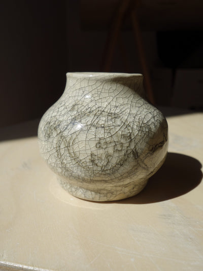 Tiny blooming garden vase-Sercetvir-APOC STORE