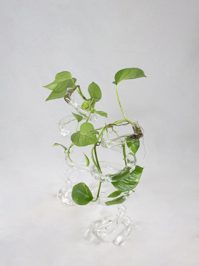 Espiral Vase – Spiral Borosilicate Glass Vase-Rain and Rivers-APOC STORE