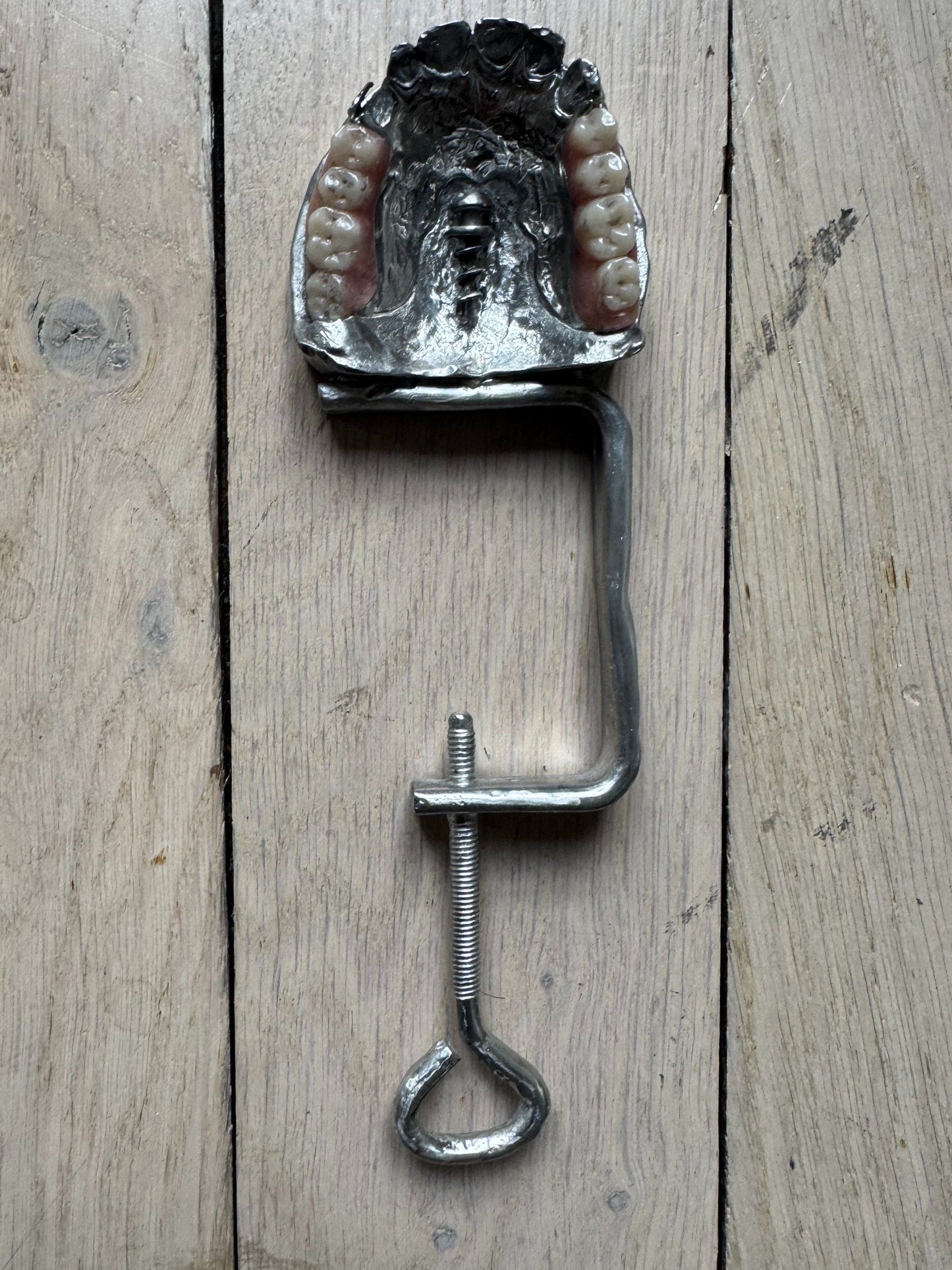 The Teeth Hammer-Alizee Quitman-APOC STORE