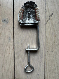 The Teeth Hammer-Alizee Quitman-APOC STORE