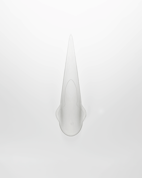 Petal Nails Clear Set of 14-Texto Dallas-APOC STORE