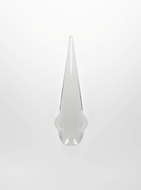 Petal Nails Clear Set of 14-Texto Dallas-APOC STORE