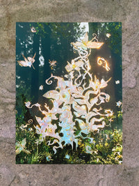 guardian-Ida Lissner-APOC STORE