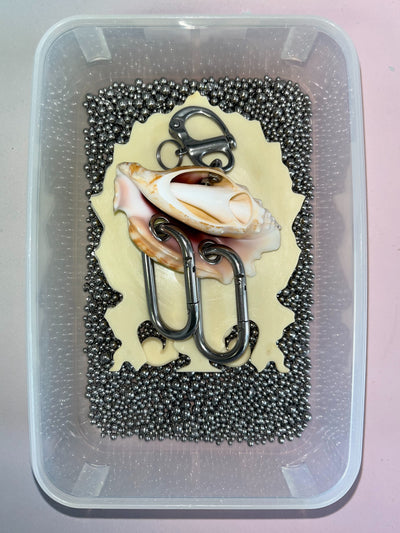 The Carrier Shell 1-Corrina Goutos-APOC STORE