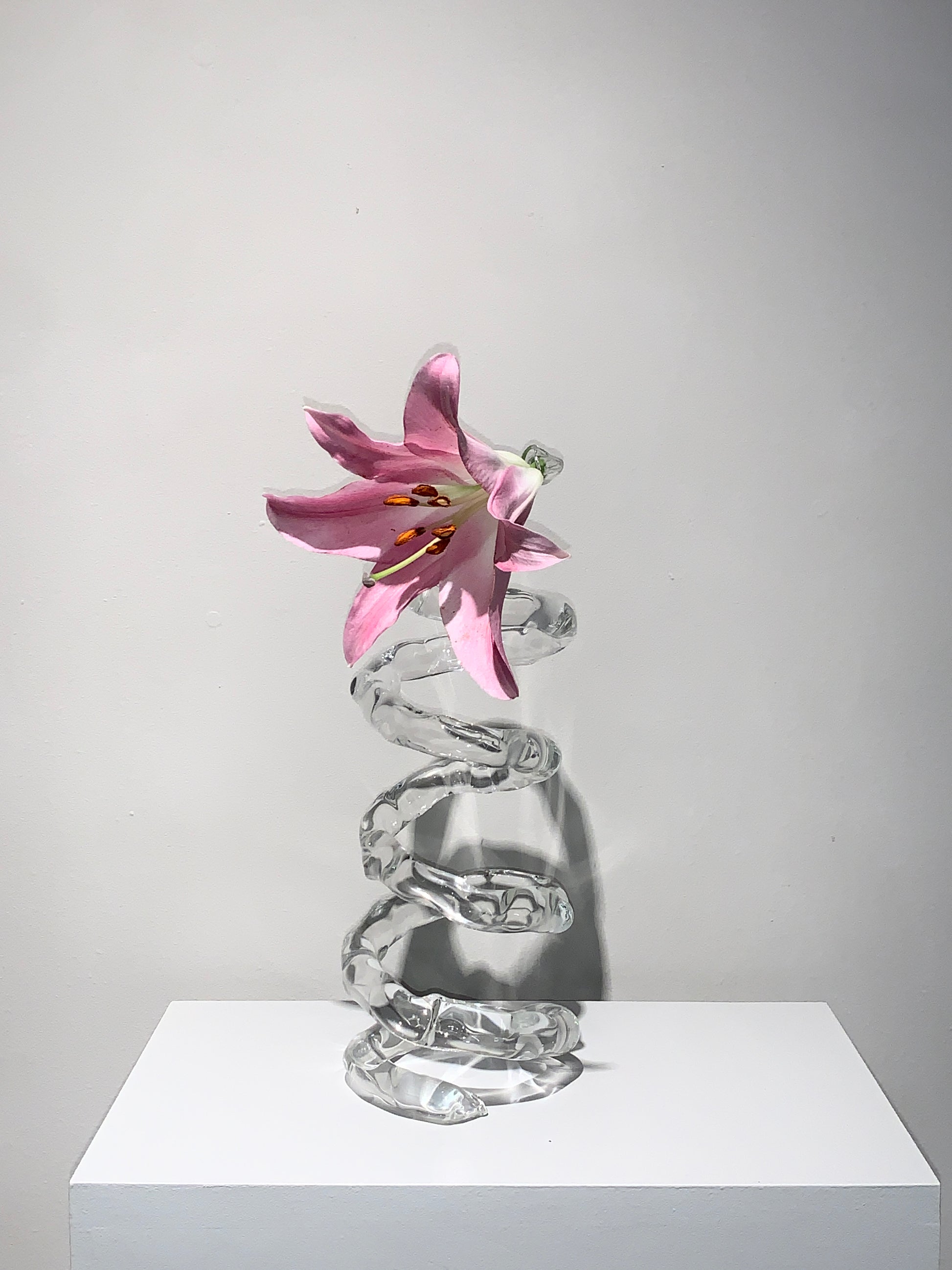 Espiral-Rain and Rivers-APOC STORE