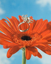 Acacia Blossom-Agoston Balazs-APOC STORE