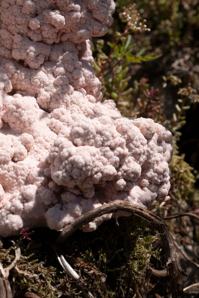 1 of 1 Double-candle pink-Elissa Lacoste-APOC STORE