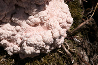 1 of 1 Double-candle pink-Elissa Lacoste-APOC STORE