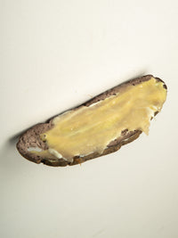 Commensalisme Bread Shelf - 16h18-Vincent Olinet-APOC STORE