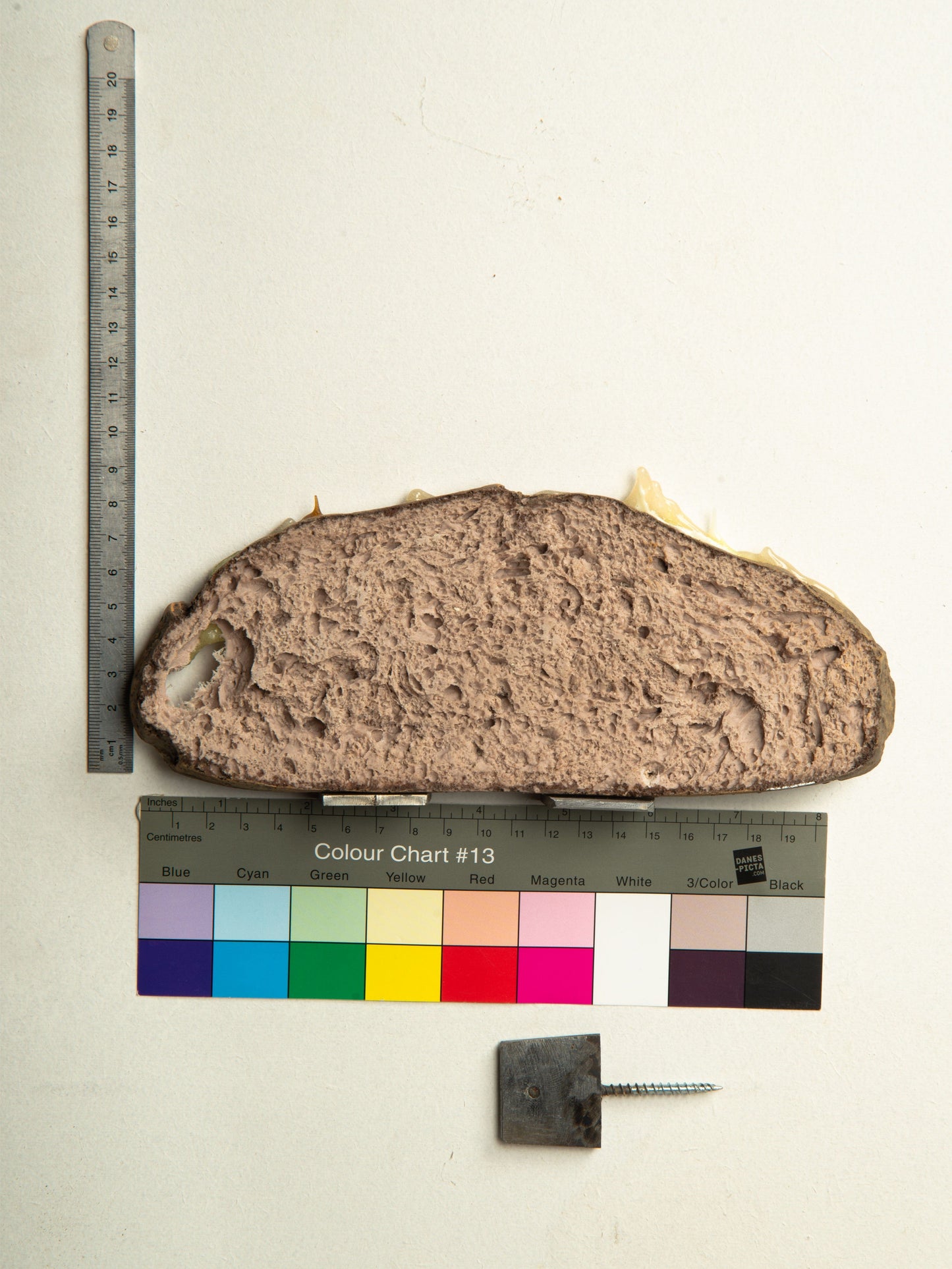 Commensalisme Bread Shelf - 16h18-Vincent Olinet-APOC STORE