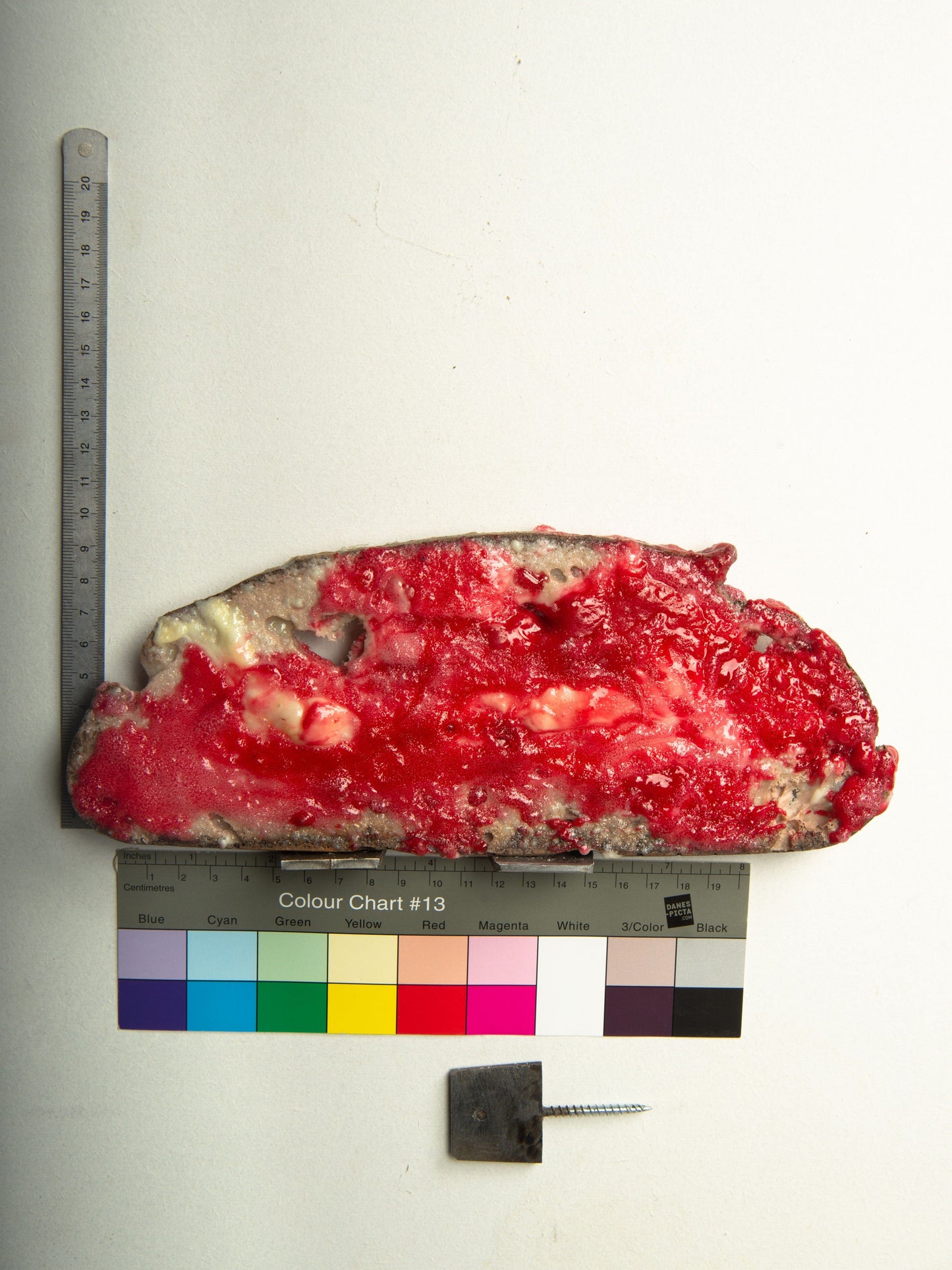 Commensalisme Bread Shelf - Mmm...mmm-Vincent Olinet-APOC STORE