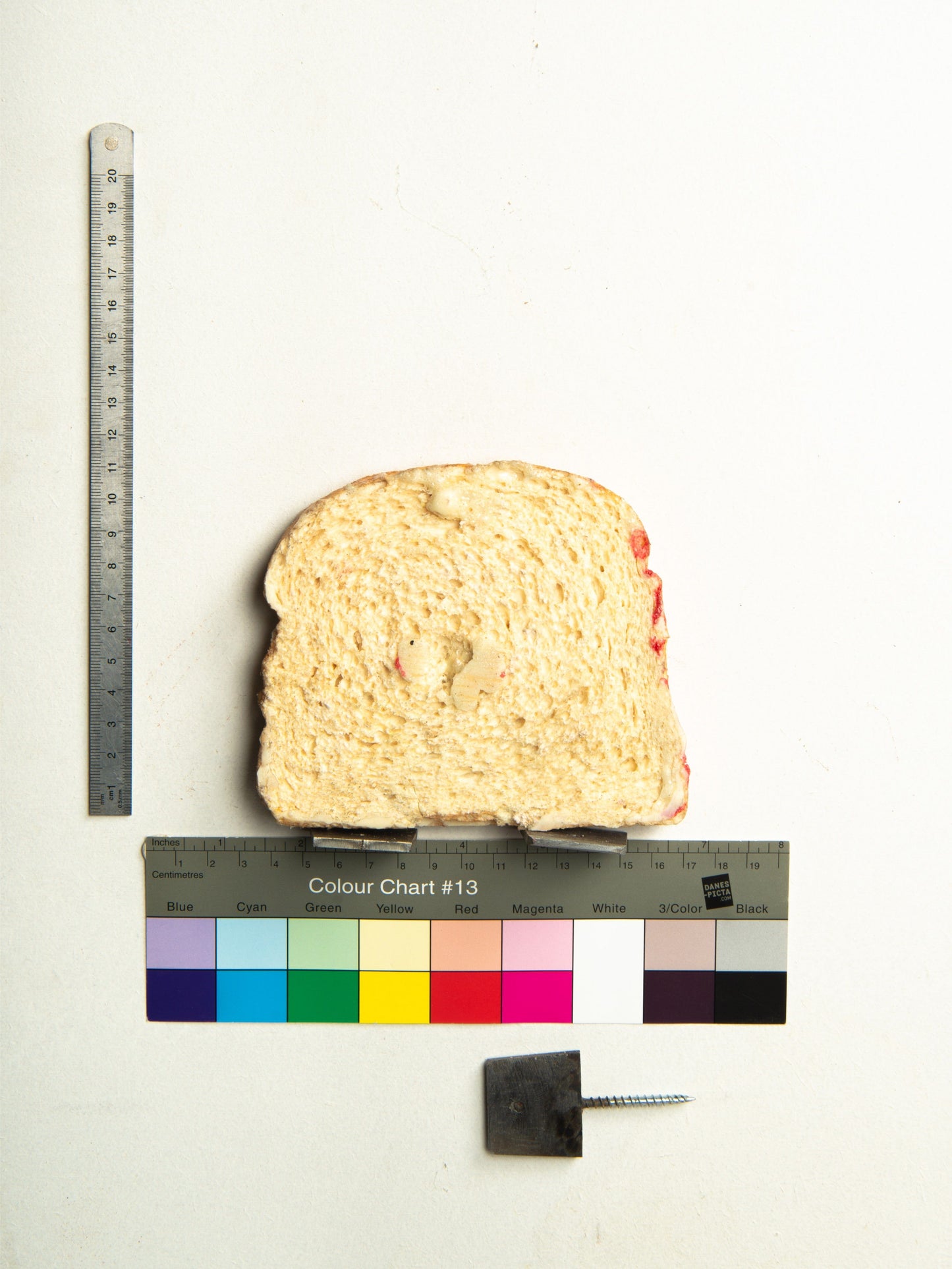 Commensalisme Bread Shelf - Wednesday-Vincent Olinet-APOC STORE