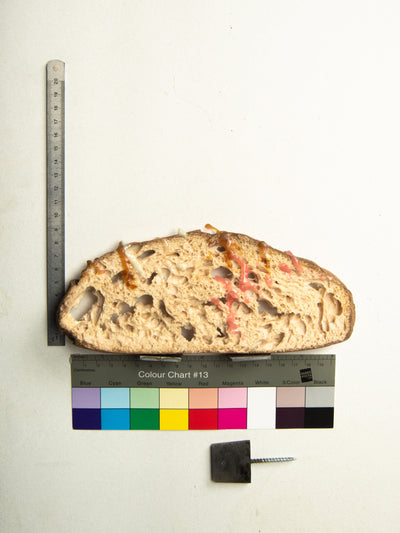 Commensalisme Bread Shelf - 09h17-Vincent Olinet-APOC STORE