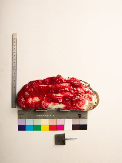 Commensalisme Bread Shelf - En retard-Vincent Olinet-APOC STORE