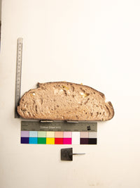 Commensalisme Bread Shelf - 11h11-Vincent Olinet-APOC STORE