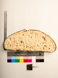 Commensalisme Bread Shelf - 06h24-Vincent Olinet-APOC STORE