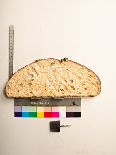 Commensalisme Bread Shelf - 06h24-Vincent Olinet-APOC STORE